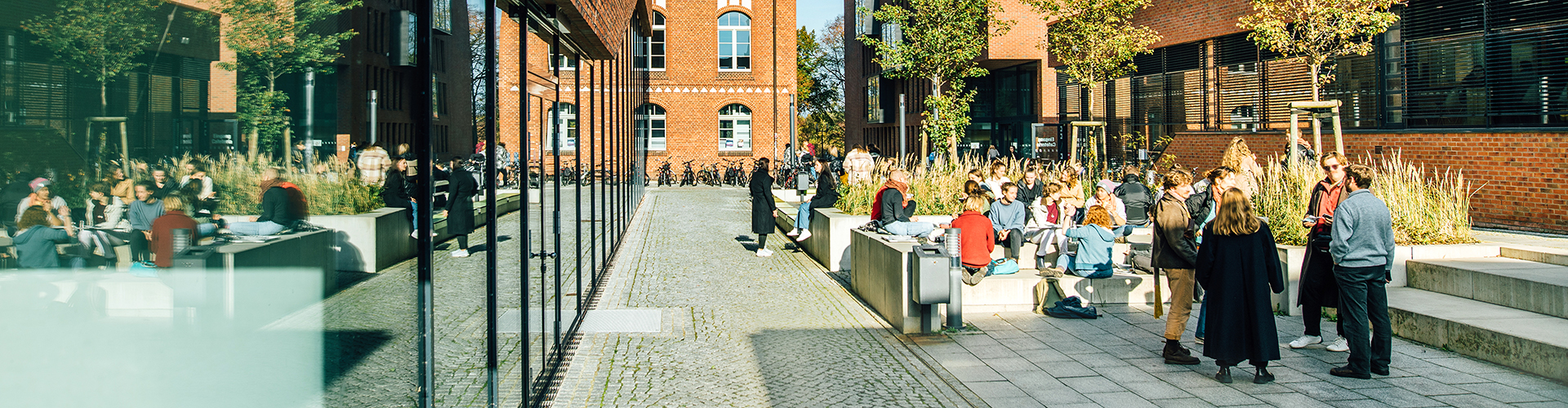 In der Innenstadt von Greifswald befindet sich der Campus Loefflerstraße der Universität Greifswald