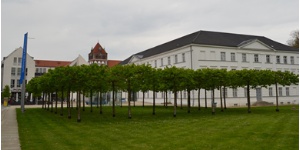 Pommersches Landesmuseum, Foto Pressestelle (2)