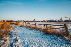 Greifswalder Stadtsilhouette im Winter