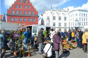 Gäste des Greifswalder Gartenmarktes kaufen Blumen und Sträucher