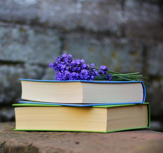 Bildungsmaterial gegen Extremismus