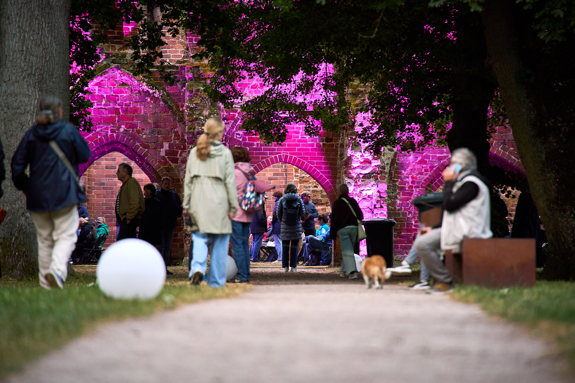 Eldenaer Jazz Evenings 2026, Veranstaltungsgelände mit Ruine im Hintergund