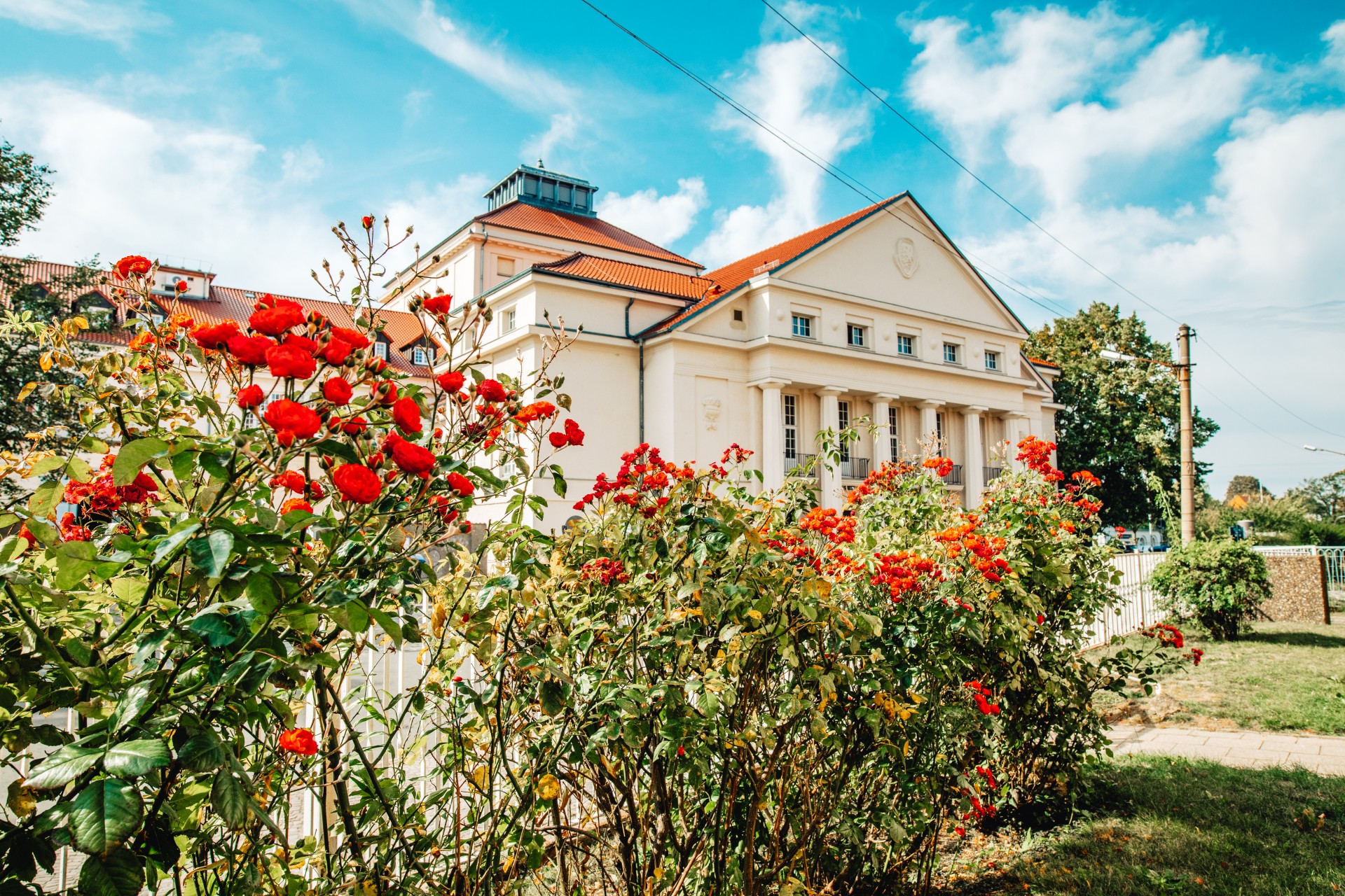 Blick auf das Greifswalder Theater & die Stadthalle