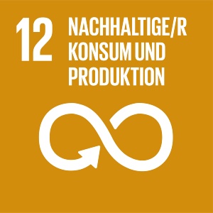 SDG 12