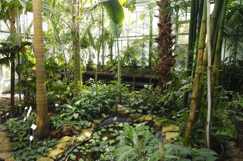 Blick in das Plamenhaus, eines der historischen Gewächshäuser im Botanischen Garten