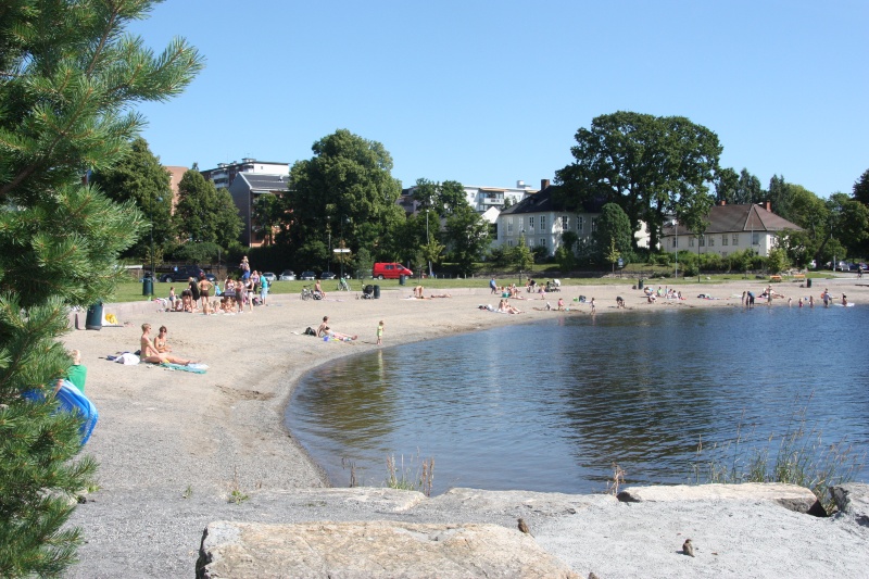 summer at Koigen - the city beach