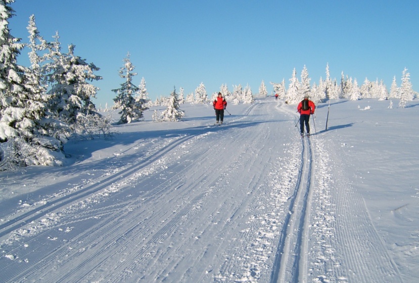 winter skiing - © Stadt Hamar winter skiing