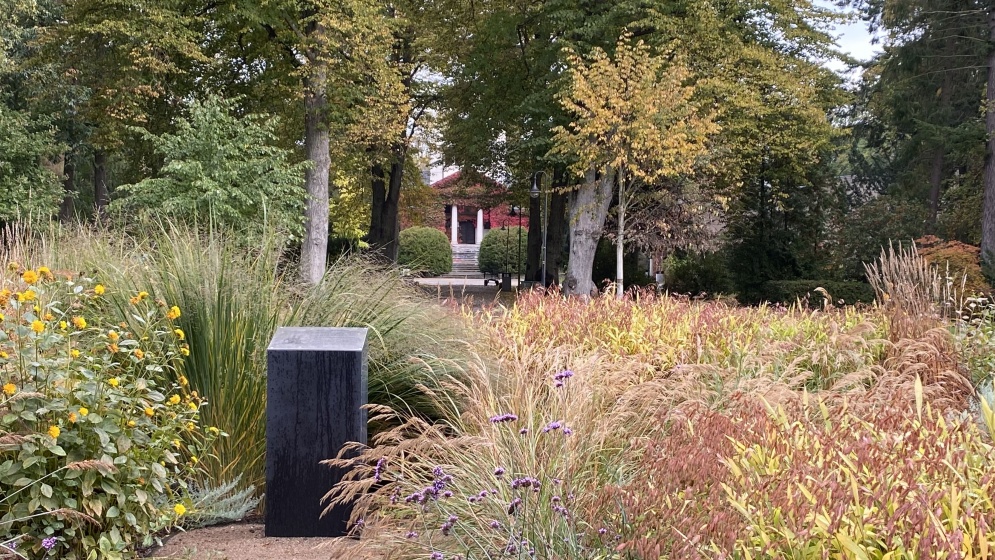 Auf dem Neuen Friedhof sind mehr als 3500 Pflanzen und Bäume beheimatet - © Pressestelle der Universitäts- und Hansestadt Greifswald Auf dem Neuen Friedhof sind mehr als 3500 Pflanzen und Bäume beheimatet