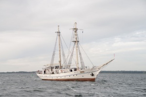 Im Zuge der Sanierungsarbeiten am Segelschulschiff GREIF wird das Schiff nun in die Volkswerft Stralsund überführt