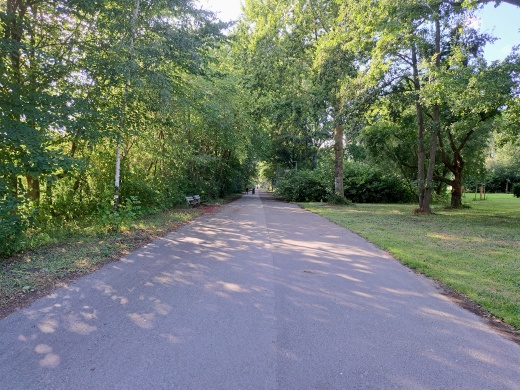 Pappelallee 2026 © Quartierskoordination der Universitäts- und Hansestadt Greifswald Ein Weg geht durch die Natur, beiderseits des Weges sind Bäume, rechts auf einer Wiese, links sind Bänke am Wegesrand.