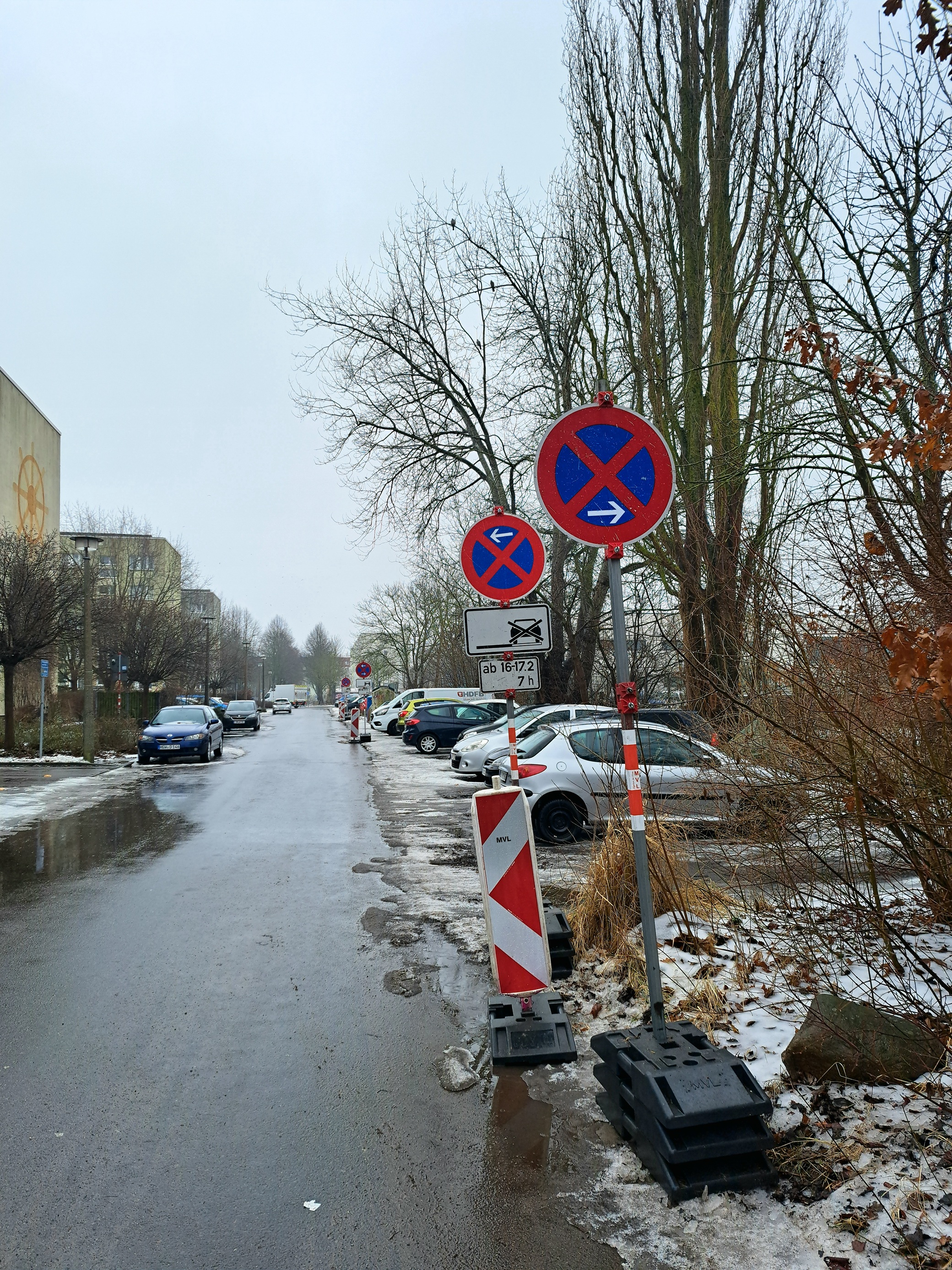 Eine Straße mit querparkenden Auto und Bäume, davor Halteverbotsschilder