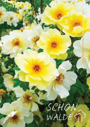 Titelseite der Stadtteilzeitung Schönwalde 2 mit der Nr. 57 im Frühling/Sommer 2024: Zahlreiche Blüten