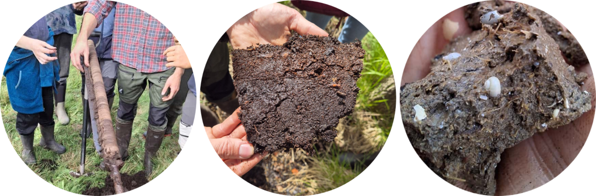 Bohrungen gesamt Bohrungen gesamt