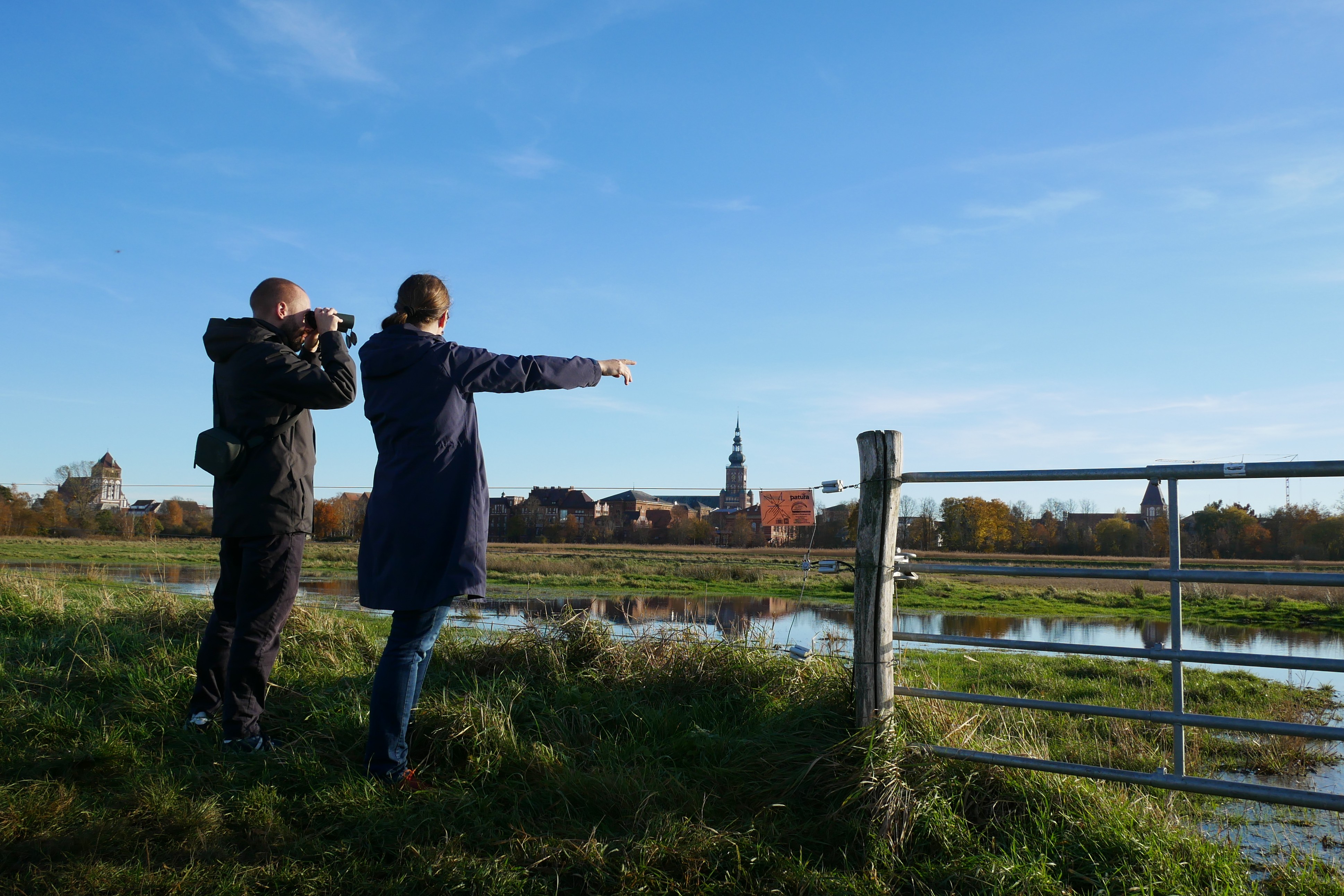 Moore sind ein Raum für Naturbeobachtung und Erholung.