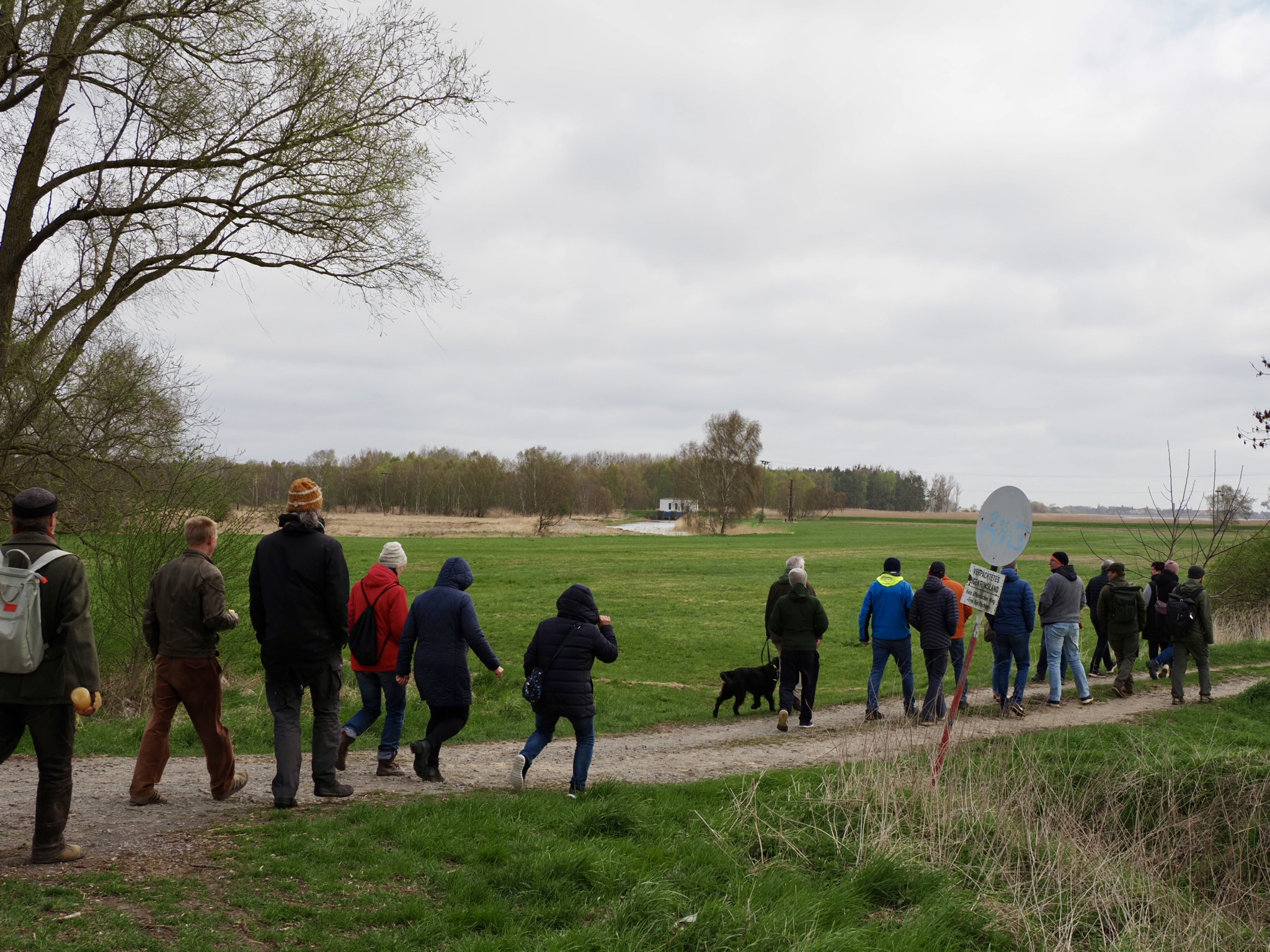 Teilnehmende auf dem Weg Richtung Schöpfwerk Mesekenhagen