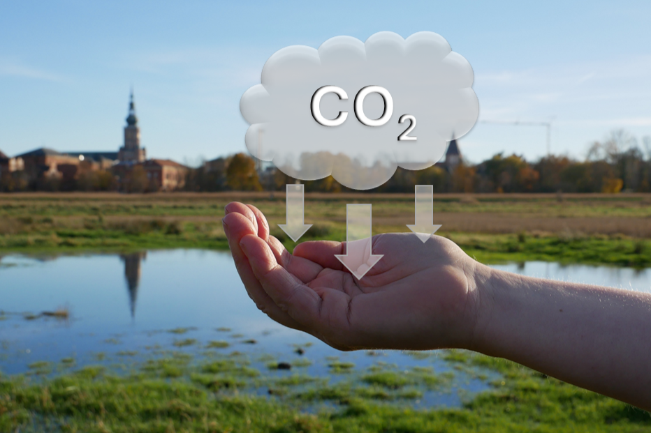 Moore binden mehr Kohlenstoff als alle Wälder zusammen. 