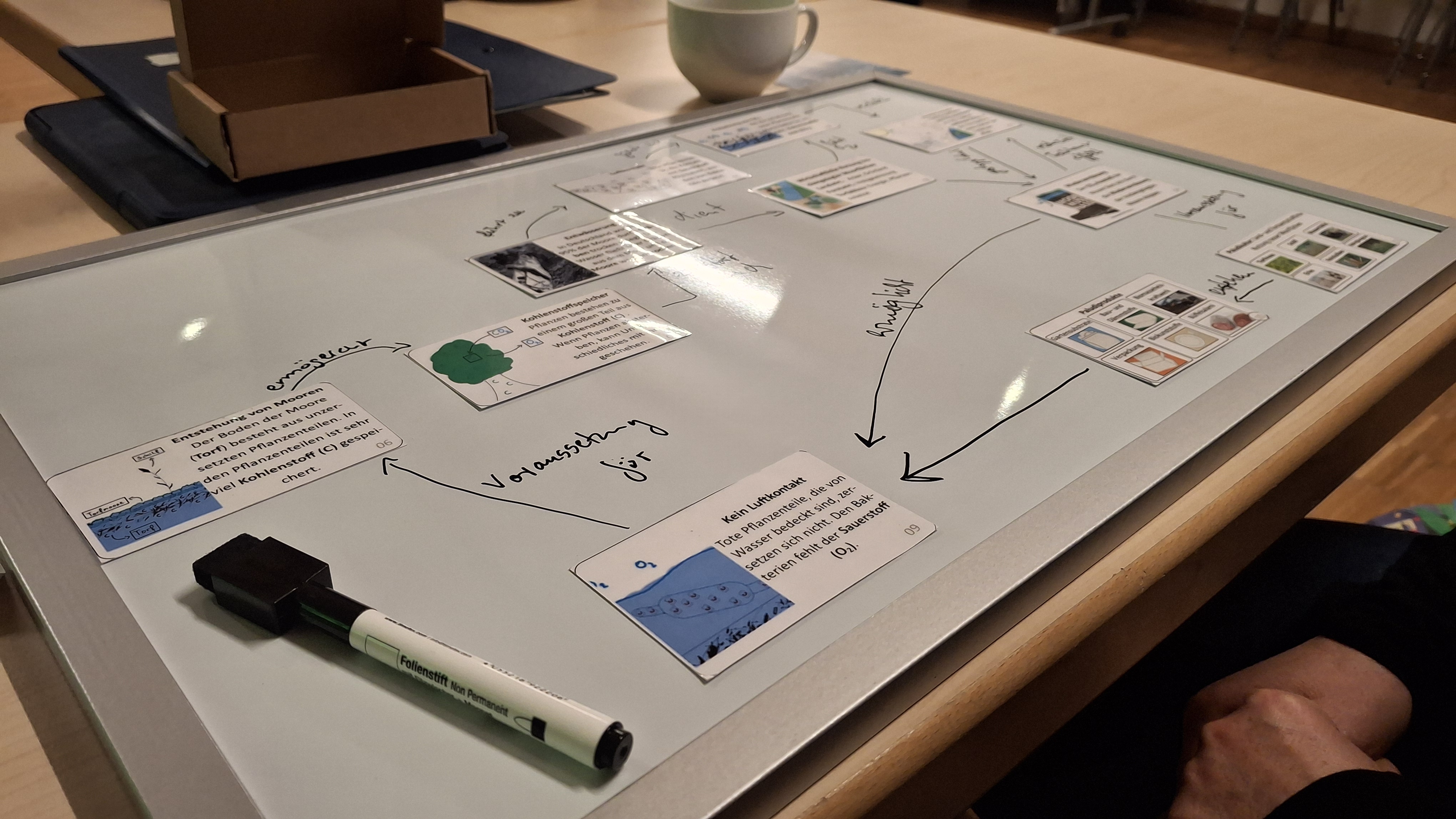 "Paludi-Was?" Mystery Kartenset