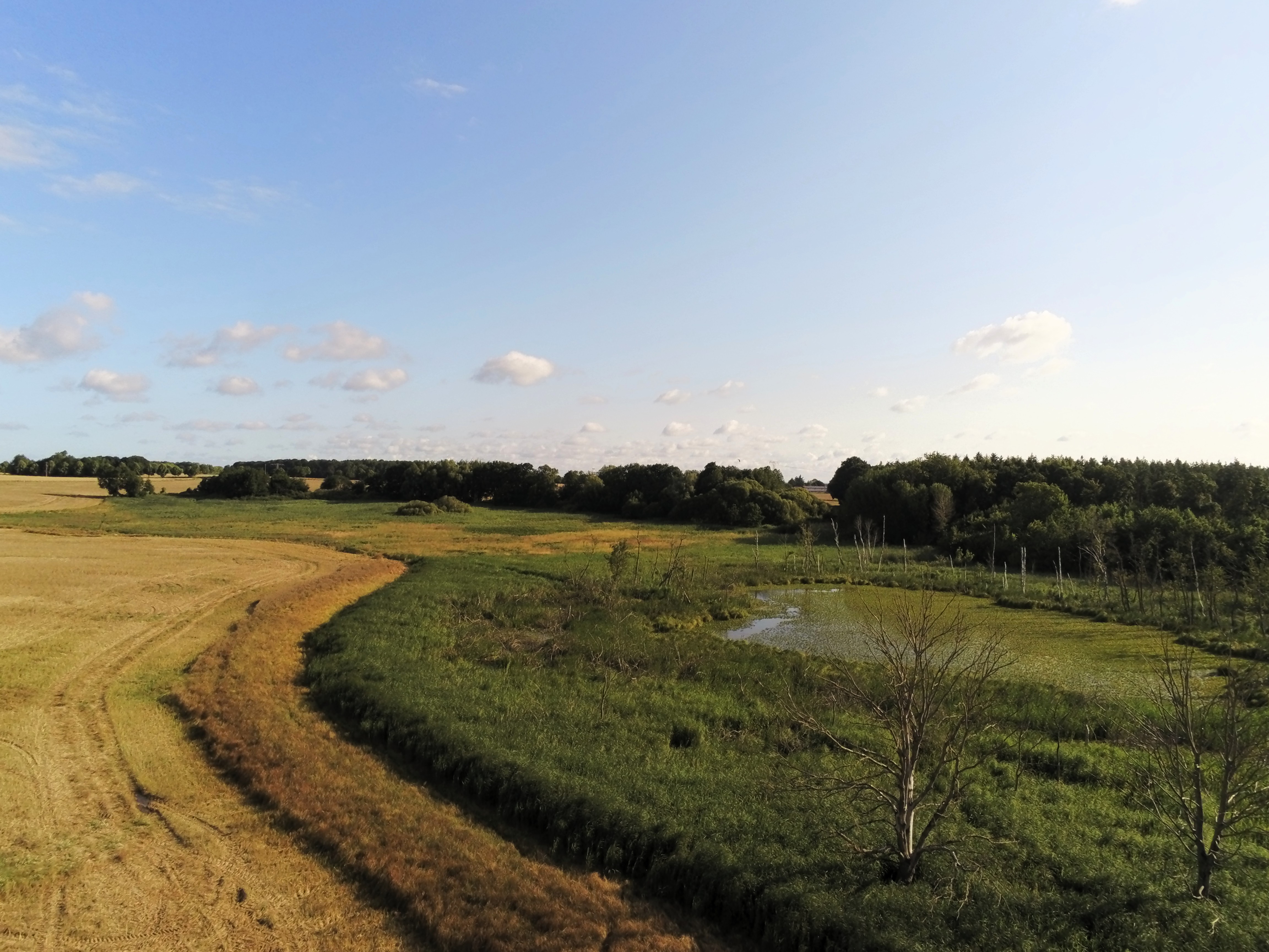 Wasserrückhalt in der Landschaft