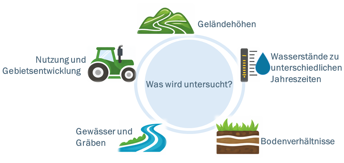 Was wird untersucht? Was wird untersucht?