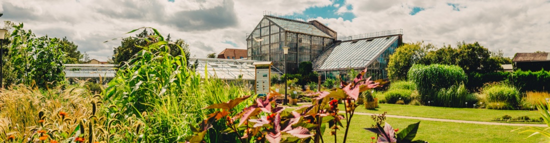 Botanischer_Garten © Wally Pruß Bild