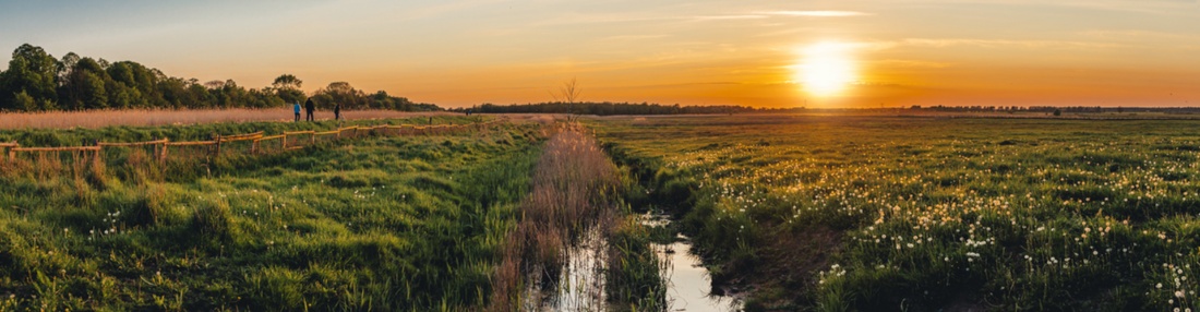 Sonnenuntergang_Deich(WallyPruss)_1920x500px_1 © Wally Pruß Sonnenuntergang über den Greifswalder Salzwiesen