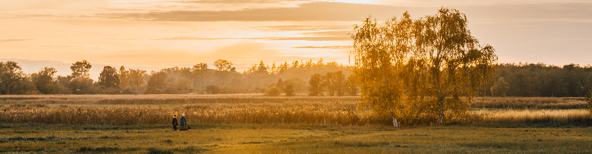 Wiesen vor Greifswald - © Wally Pruß

