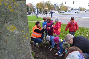 3 Blumenzwiebelpflanzaktion 3.11.2017 Foto Pressestelle © Pressestelle Bild