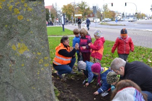 3 Blumenzwiebelpflanzaktion 3.11.2017 Foto Pressestelle - © Pressestelle 3 Blumenzwiebelpflanzaktion 3.11.2017 Foto Pressestelle