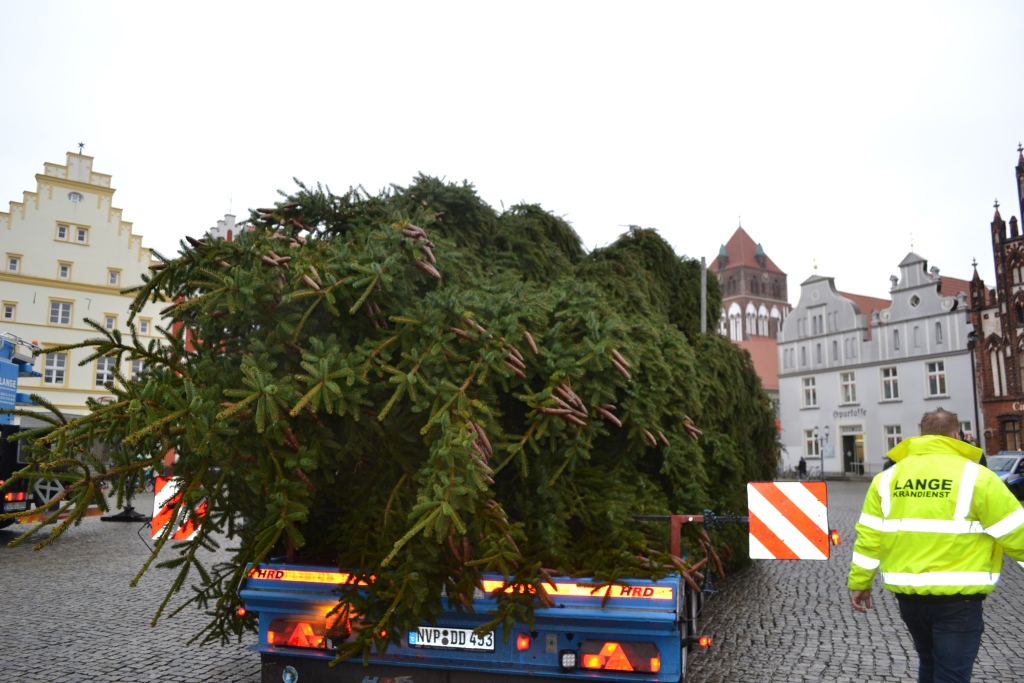 /export/sites/hgw/de/.galleries/Pressestelle-Pressemitteilungen/6-Ankunft-der-Tanne-auf-dem-Marktplatz-22.11.2017-Fotos-Pressestelle.JPG