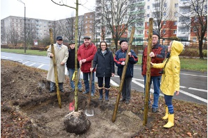 Bäume für die Lomonossowallee