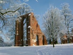 Klosterruine Eldena im Schnee