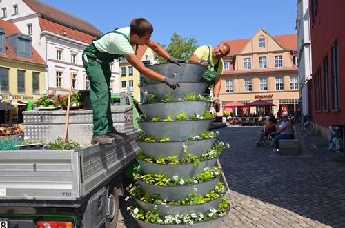 /export/sites/hgw/de/.galleries/Pressestelle-Pressemitteilungen/Blumenkaskaden-werden-von-Fa.-Gartenprofi-Wuttig-am-Fischmarkt-aufgestellt-Foto-Pressestelle-19.JPG