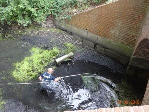 Fischrettung im Wallgraben, August 2018, 