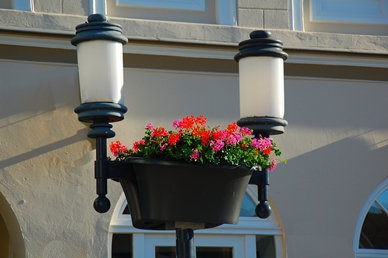 /export/sites/hgw/de/.galleries/Pressestelle-Pressemitteilungen/Greifswald-blueht-auf-Foto-Marketing-GmbH.jpg