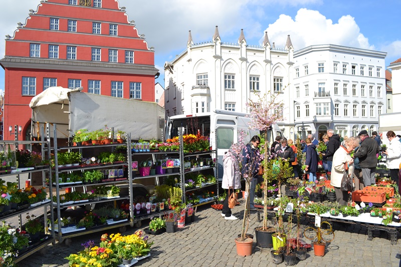 /export/sites/hgw/de/.galleries/Pressestelle-Pressemitteilungen/Greifswalder-Gartenmarkt-2016-Foto-Pressestelle-29.JPG