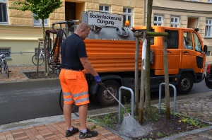 Bäume in der Wiesenstraße werden gegossen