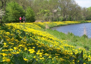 Hartmut Schmeling Ryck-Walk - © Hartmut Schmeling Hartmut Schmeling Ryck-Walk