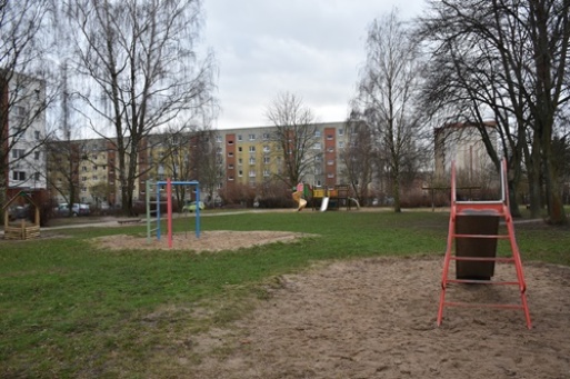 einige dieser Bäume müssen für Ersatzneubau der Kita Marschak weichen 