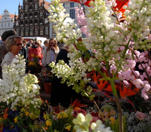 /export/sites/hgw/de/.galleries/Pressestelle-Pressemitteilungen/Oster-und-Blumenmarkt-2010-Foto-Peter-Binder-kl.-Datei-1.jpg