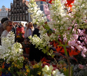Oster- und Blumenmarkt 2010, Foto Peter Binder (kl. Datei) (1)