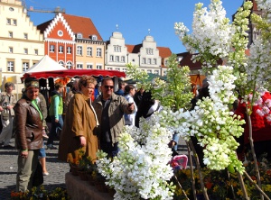 Oster- und Blumenmarkt 2014