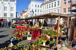 Ostermarkt © Amt 32 Bunte Osterblumen