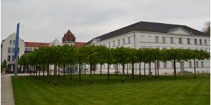 Pommersches Landesmuseum, Foto Pressestelle (2) - © Pressestelle Pommersches Landesmuseum, Foto Pressestelle (2)