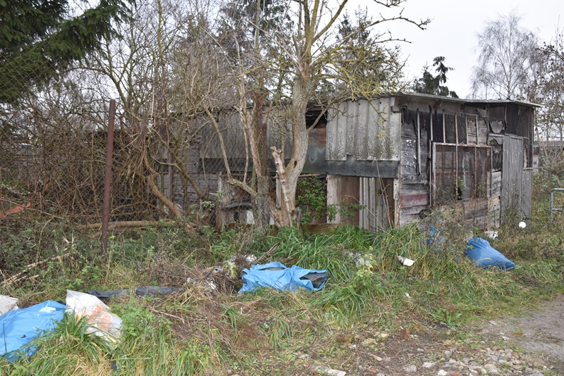 /export/sites/hgw/de/.galleries/Pressestelle-Pressemitteilungen/Pressemitteilungen-2020/Beraeumung-Gelaende-Kleintierzuechter-Foto-Pressestelle-11.JPG