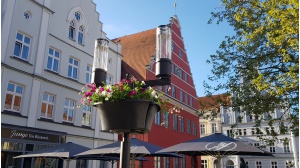 Greifswald blüht auf_2020 © Theres Behnke_ - © Theres Behnke Greifswald blüht auf_2020 © Theres Behnke_