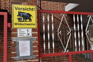 Volksstadion wegen Wildschweingefahr gesperrt - © Foto: Pressestelle Volksstadion wegen Wildschweingefahr gesperrt