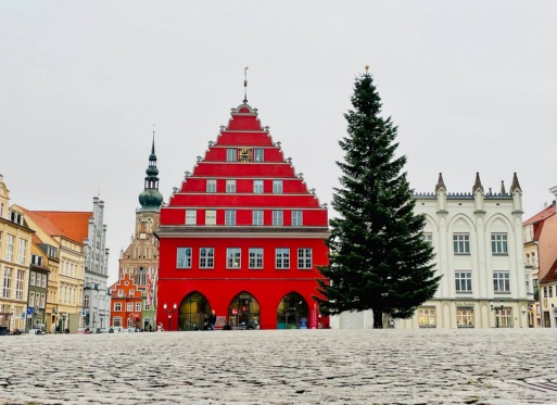Greifswalder Marktplatz. Vor dem roten Rathaus steht der Weihnachtsbaum.