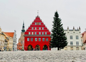 Greifswalder Marktplatz. Vor dem roten Rathaus steht der Weihnachtsbaum.