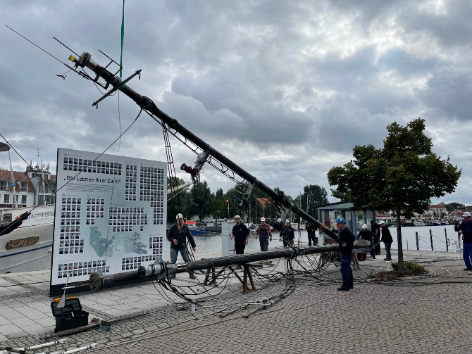 GREIF_STENGE_Vopel (80) © Franziska Vopel Bild
