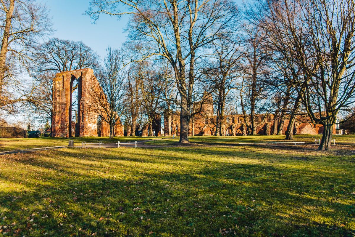 /export/sites/hgw/de/.galleries/Pressestelle-Pressemitteilungen/Pressemitteilungen-2021/Kloster_Eldena_Nov16WallyPruss_1_ganzes_Bild.jpg